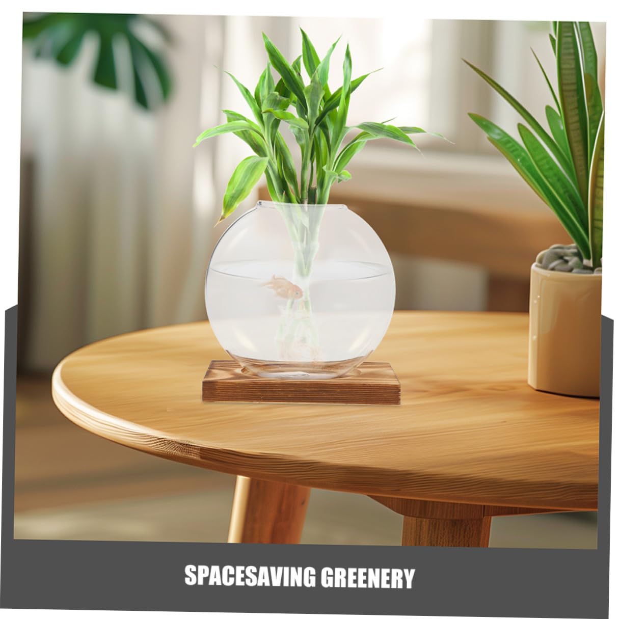 NUOBESTY 2pcs Glass Vase with Wooden Stand for Plant Propagation Hydroponic Terrarium Container Desktop Planter for Home and Office Decor