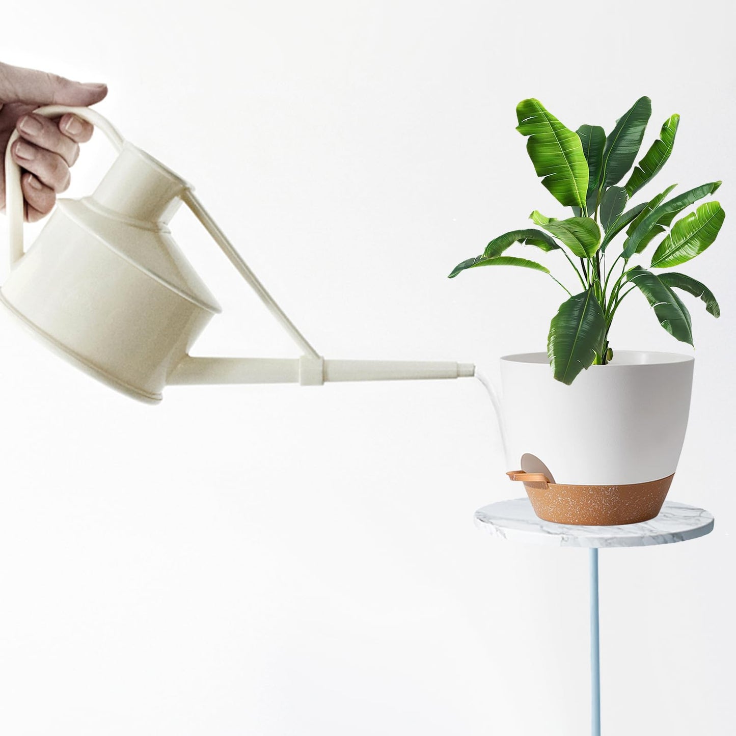 SE SUN-E Indoor Plant Pots for Lazy People, 5Pack White Plastic Self Watering Planter Pots for Houseplants,Succulent, African Violets,Snake Plants, Flowers and Cactus(7/6.5/6/5.5/5 Inch)