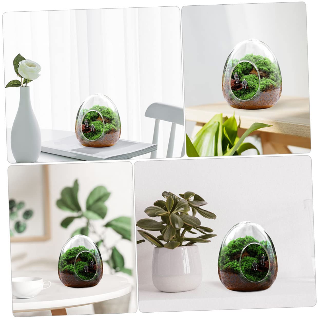 BESPORTBLE Glass Plant Bottle Decorative Micro Landscaping Air Plant Terrarium for Home