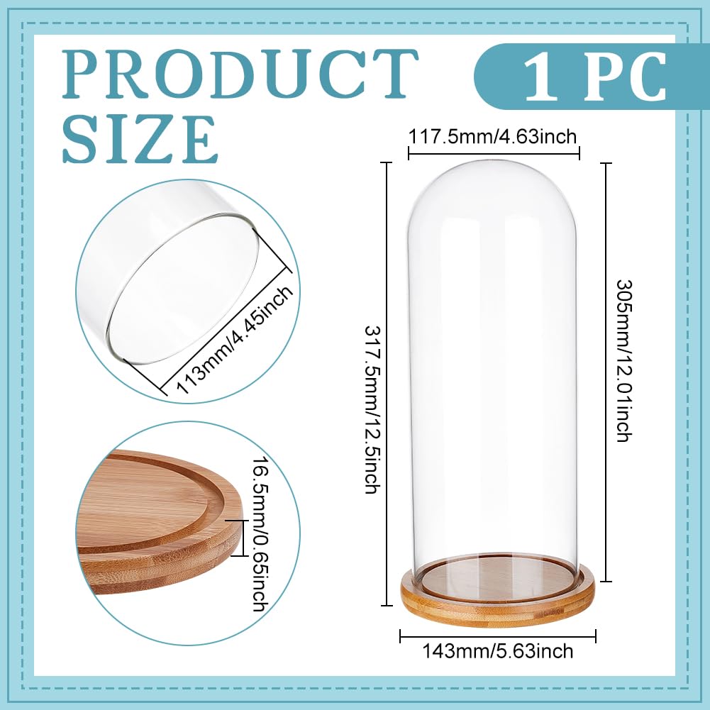 BENECREAT 4.6x12inch Eternal Transparent Flower Glass Cover, Glass Display Dome Cloche Jar with Sandy Brown Solid Wood Base for DIY Flower Craft