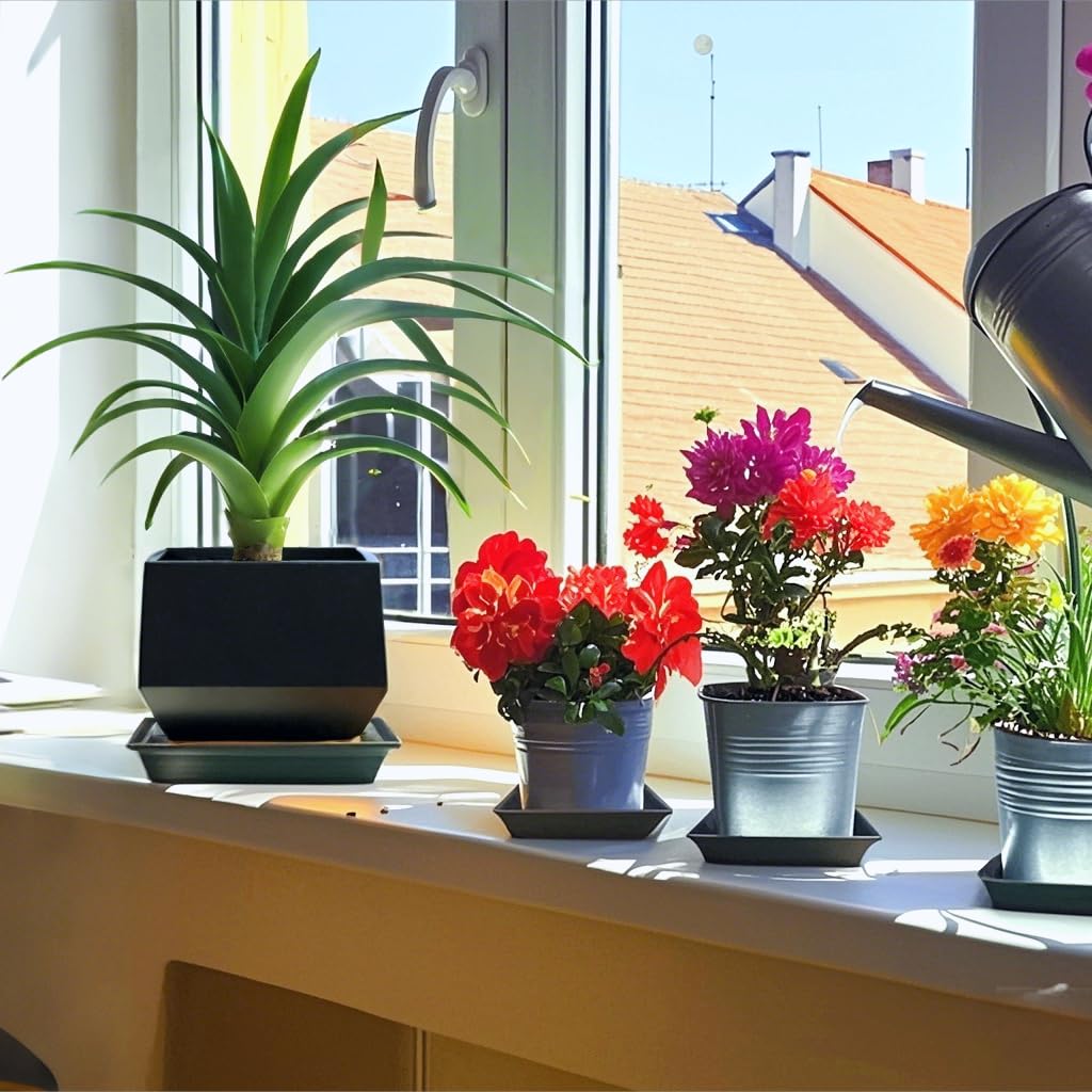 Tectsia Square Plant Saucer 10 Inch 5 Pack, Planter Trays for Flower Pots, Plant Water Catcher Drip Dishes, Plastic Bottom Watering Plates Indoors and Outdoors - Black