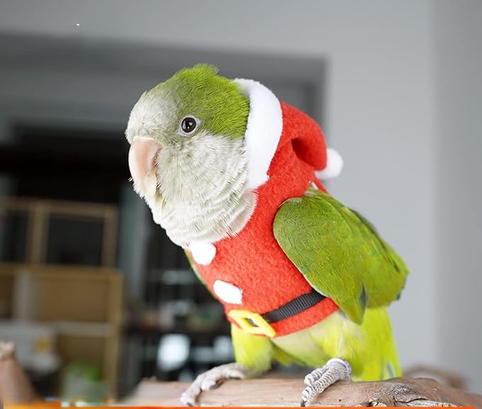 Bird Clothes Birds Flight Suit, Christmas Hoodie for Parrots Cockatiel Sun Conure Christmas Party Cosplay Photo Prop Bird Shirt Small Animals Apparel (with Diaper,Caique)