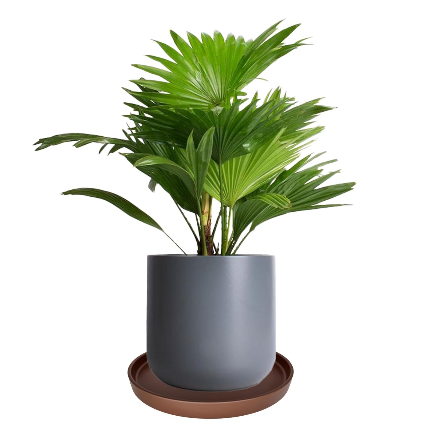 2 Pack Ceramic Plant Saucer Pot Tray 6 Inch, Planter Saucers 4 5 6 7 8 9 10 11 12 13 Inch for Indoors Outdoor, Durable Sturdy Flower Drainage drip Water Tray for Glazed Pots Base (6.4 Inch-Brown)