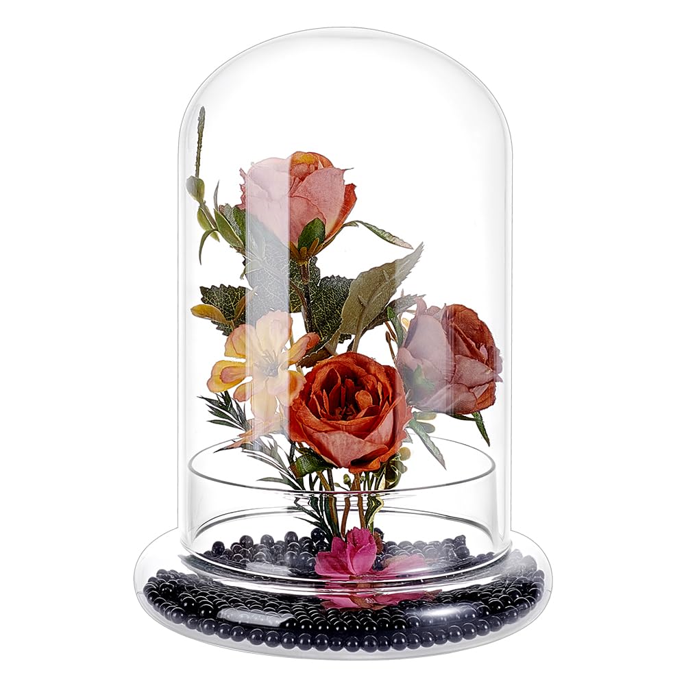 PH PandaHall Glass Dome Cloche 5.5x8.46inch Clear Terrarium Planter with Base Tabletop Display Terrarium for Indoor Plants Succulents Cactus Tabletop Home Decoration