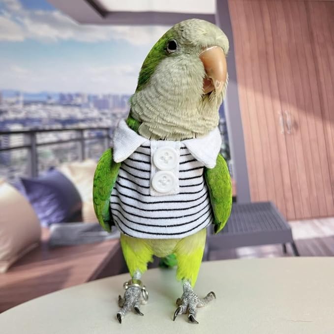 Blue Quaker Bird Costume - Summer Clothes Cosplay Photo Prop for Parrots, Lovebirds, Parakeets & Cockatiels - Small Animal Apparel (Without Diaper)
