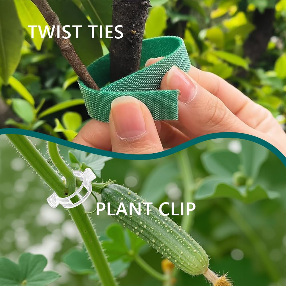 MAFONE 12 Pack 16inch Plant Support Stakes, Plant Stick Garden Single Stem Flower Support Stake Plant Cage Support Rings with 20pcs Plant Clips and Plant Ties for Tomato Orchid Lily Peony Rose Bean