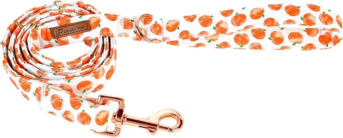 Dog Leash & Collar Set, Sturdy Durable Cotton, Pumpkin Pattern, Fits Small to Large Dogs