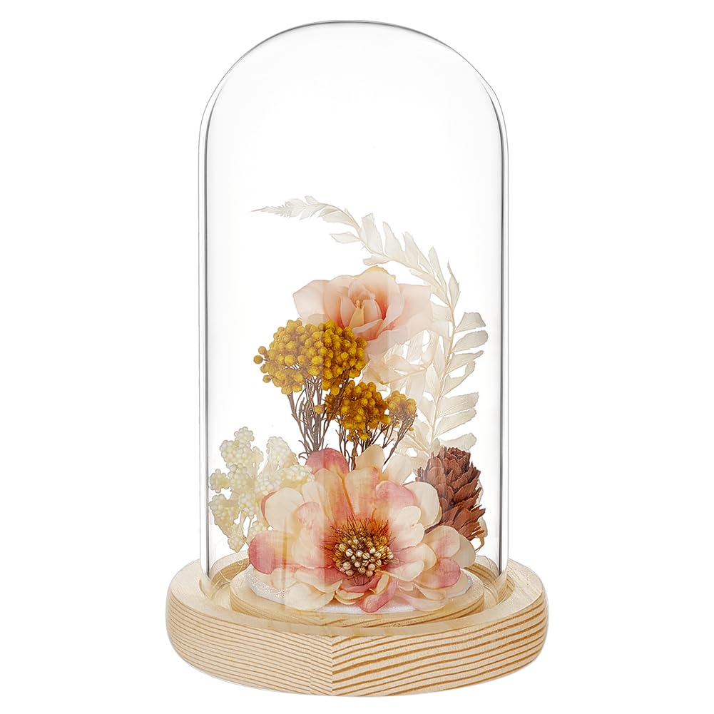 BENECREAT Glass Cloche Dome with Wood Base, 6.18x2.99inch Arch Display Dome for Plants and Collectibles, Complete Set Glass Bell Jar with Solid Wood Stand for Home Decor, Navajo White