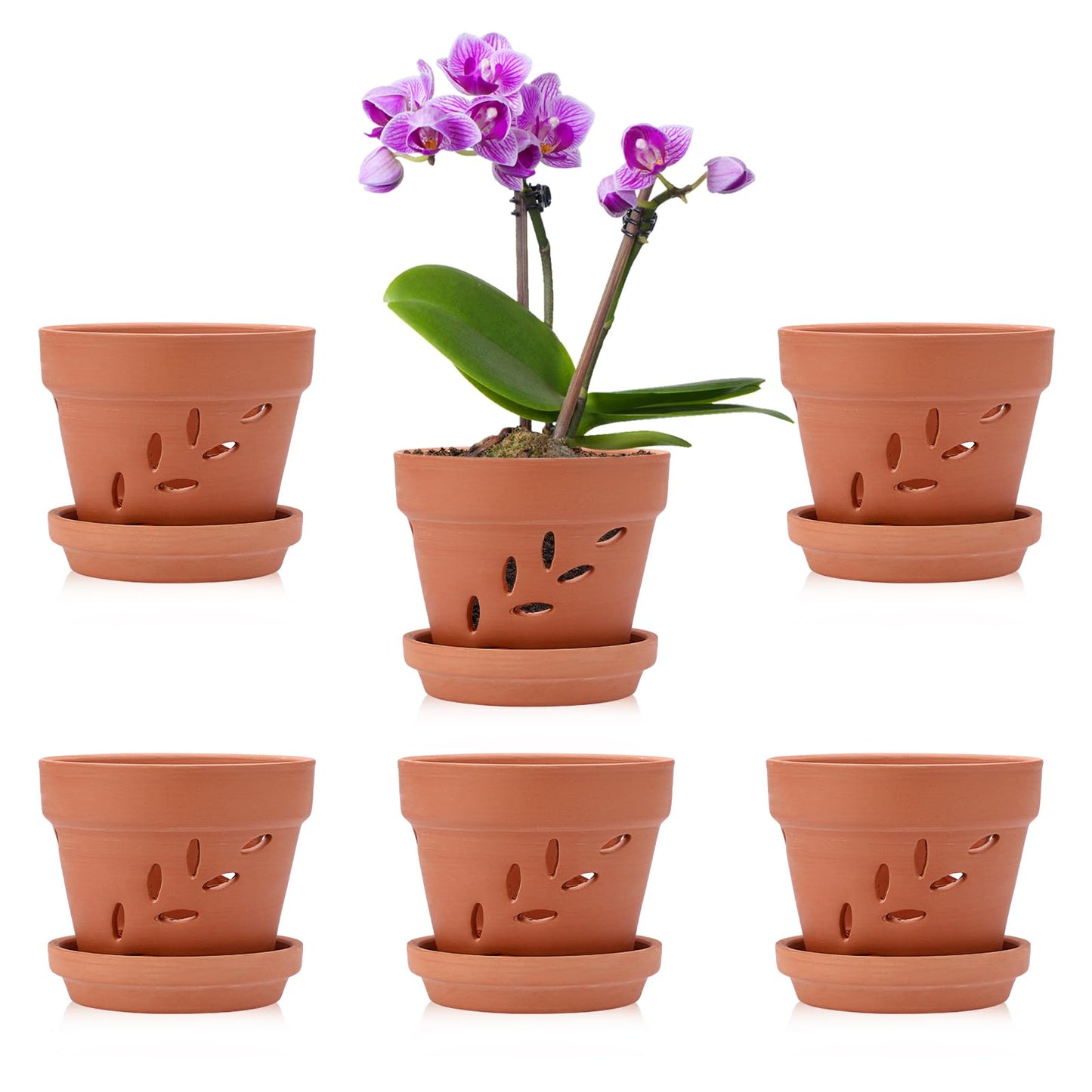 JUXYES 6 Pack Small Terracotta Orchid Pots with Holes and Saucers, Clay Orchid Planter Pots for Repotting, Plant Flower Pots for Orchid Indoor and Outdoor Promotes Air Circulation, 4 Inches