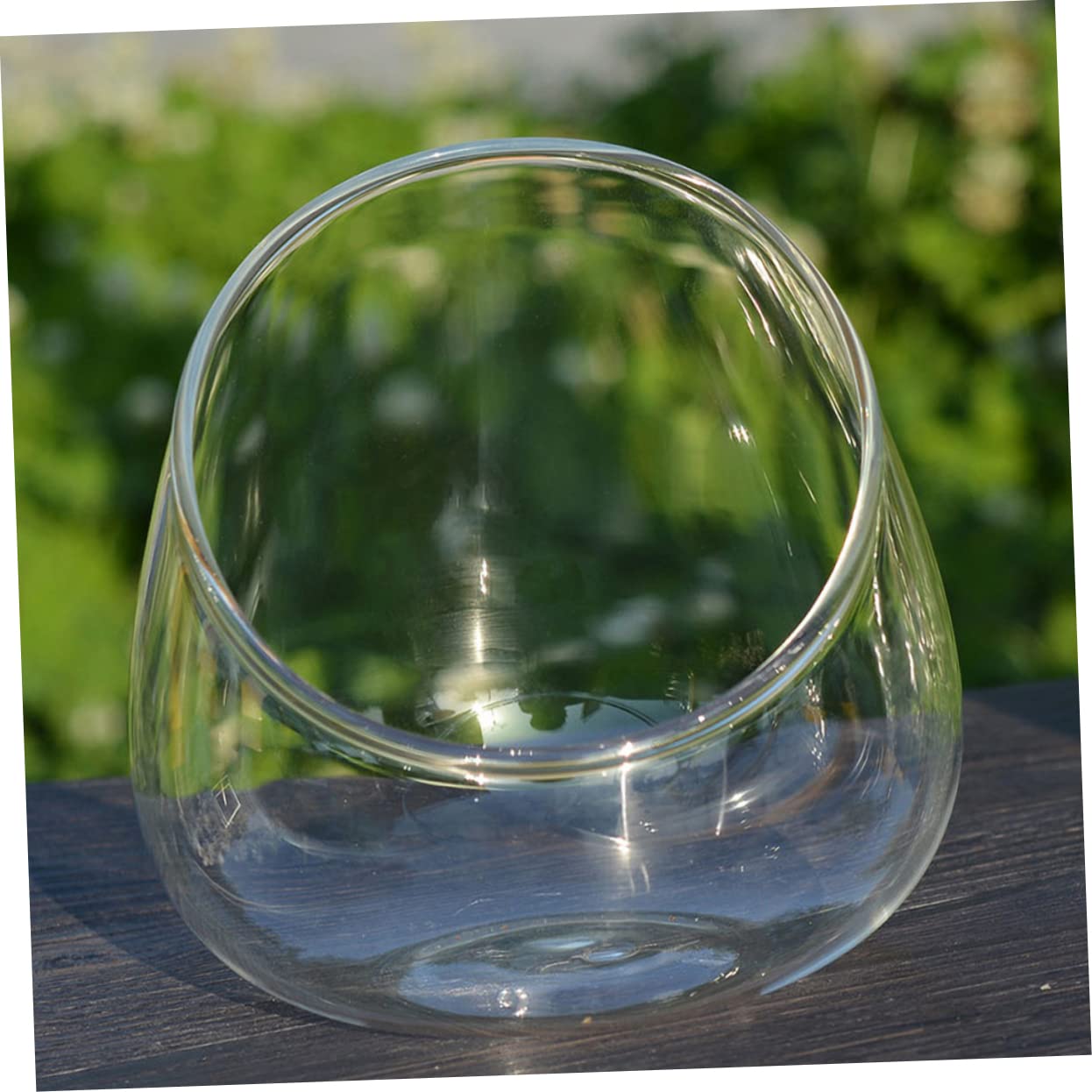 VICASKY Glass Landscape Bottle for and Air Plants Multi-Purpose Terrarium Container for Home Decor and Creative Displays