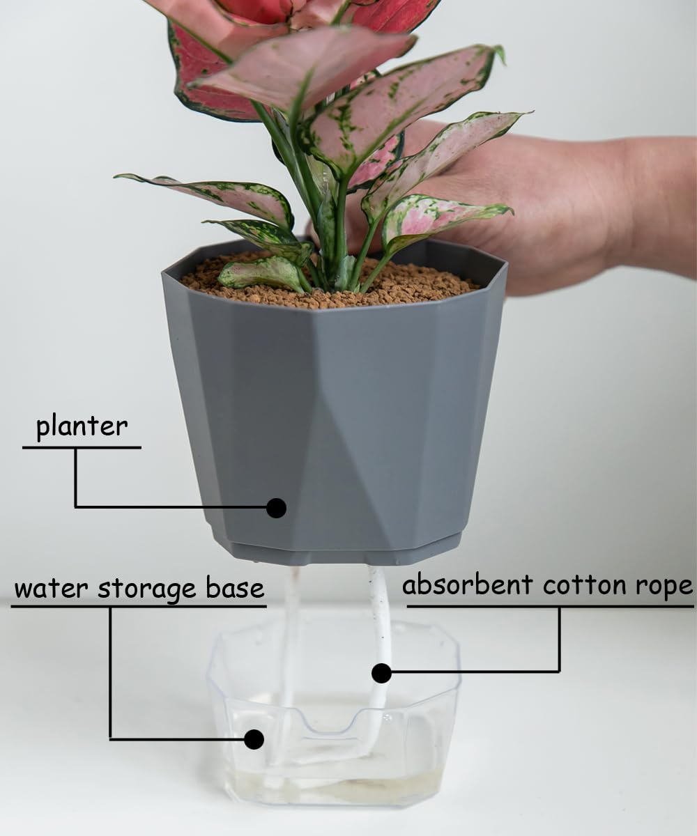 Qimodo 3 Pack 8.5/6.7/5 Inch Plastic Self Watering Indoor Planters,Modern Decorative Plant and Flower Pots for Succulents,Aloe,Herbs,African Violets,Peace Lily with Absorbent Rope,White