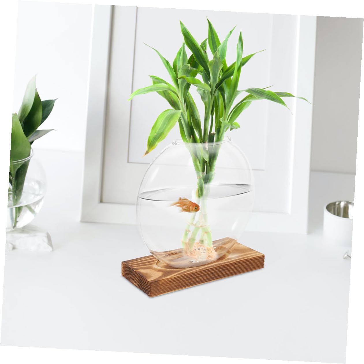 TOYANDONA 2pcs Hydroponic Glass Vases with Wooden Base, Small Plant Terrarium Pots for Indoor Propagation, Desktop Water Vase for Home Office Balcony