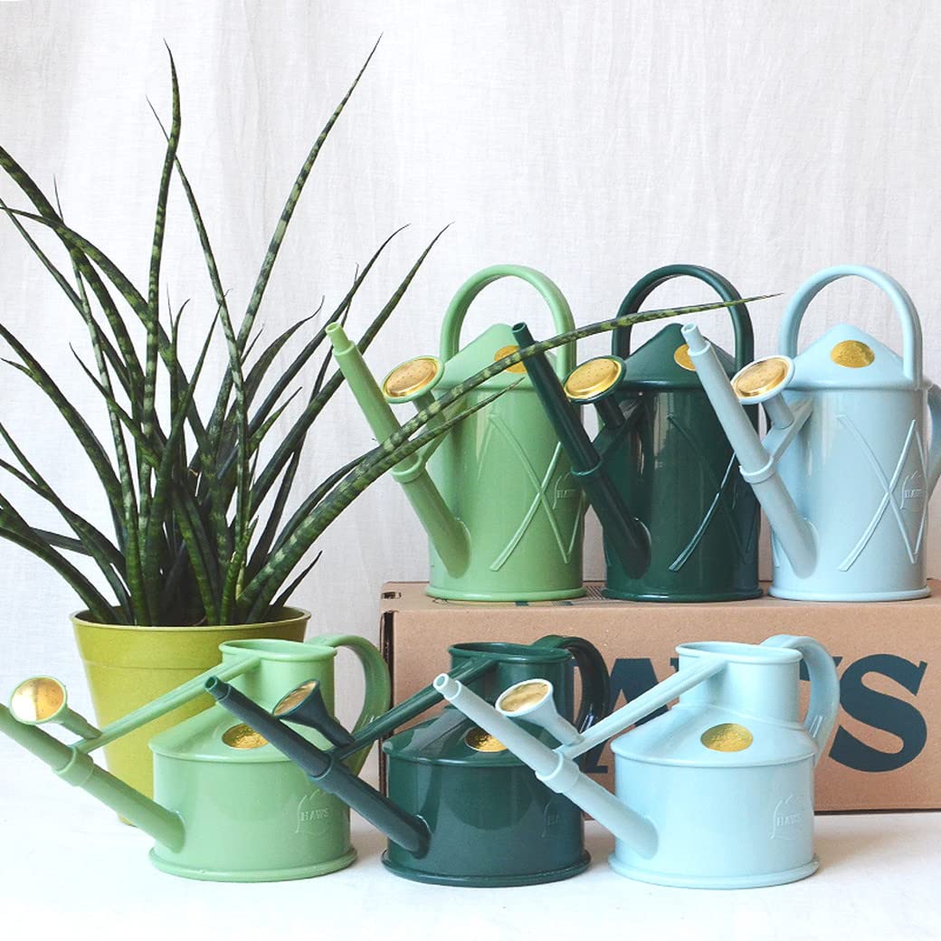 Bosmere Haws Handy Plastic Watering Can, Mini Water Can for Indoor Plants, Succulents and Flowers, Sage Green, 1 Pint