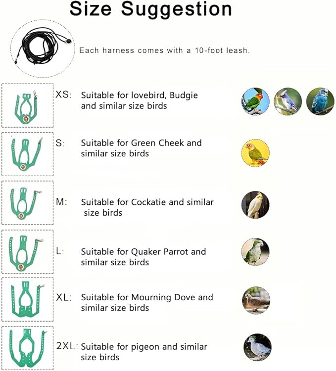 Adjustable Bird Harness & Leash Set for Small Birds,FitsBudgie,Parakeets, Conures, Cockatiels,Green Cheek,Quaker Parrots(Green, M) Z6350-8