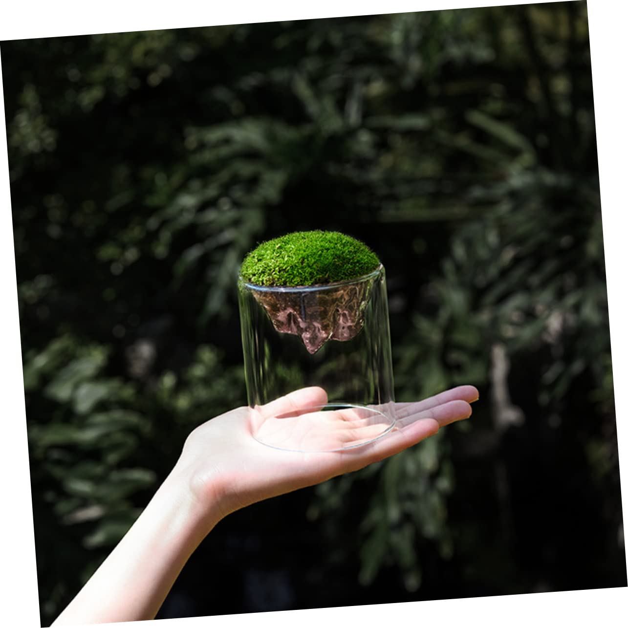 Parliky Terrarium Jars Set DIY Landscape Glass Bottle Moss Home Decor Plant Container