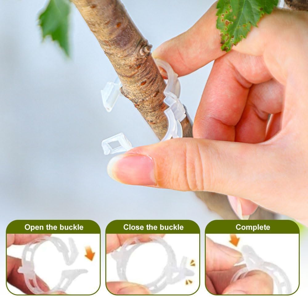Lyngvio 100Pcs Secured Plastic Plant Clip, 2026 Upgrade Plant Support Clips Reusable Garden Clips, Garden Clips for Climbing Plants Tomato Grape Vine Vegetables Plant Fixing Clips (50, Green)