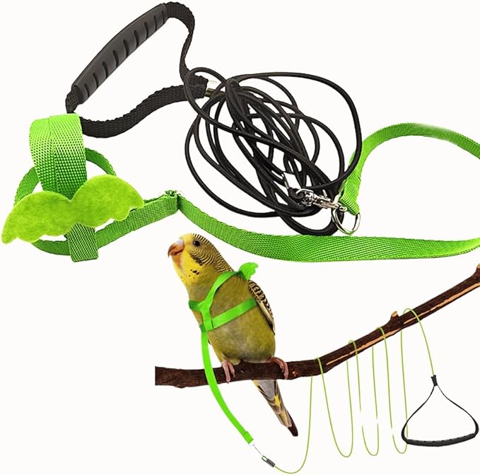 Pet Parrot Bird Harness and Leash, Adjustable Training Design Anti-Bite, Bird Nylon Rope with Cute Wing for Parrots, Suitable for Macaw Cockatoo Cockatiel Lovebird Conure African Grey (Green,XS)