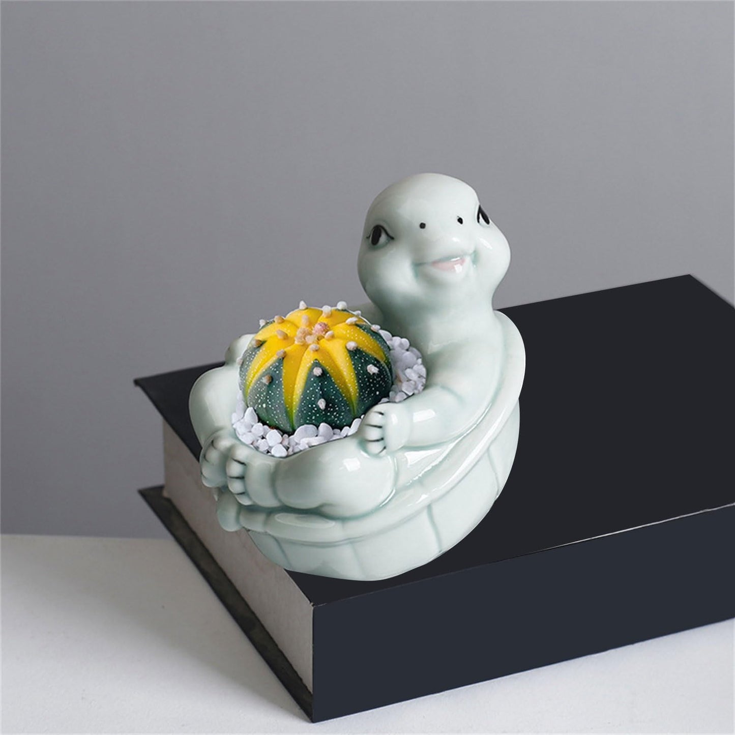 jiingekk Succulents Plant Pots Turtles Planter Flower Pots Planting Pots For Cactus Succulents Planter For Indoor Plant Indoor Plant Holder