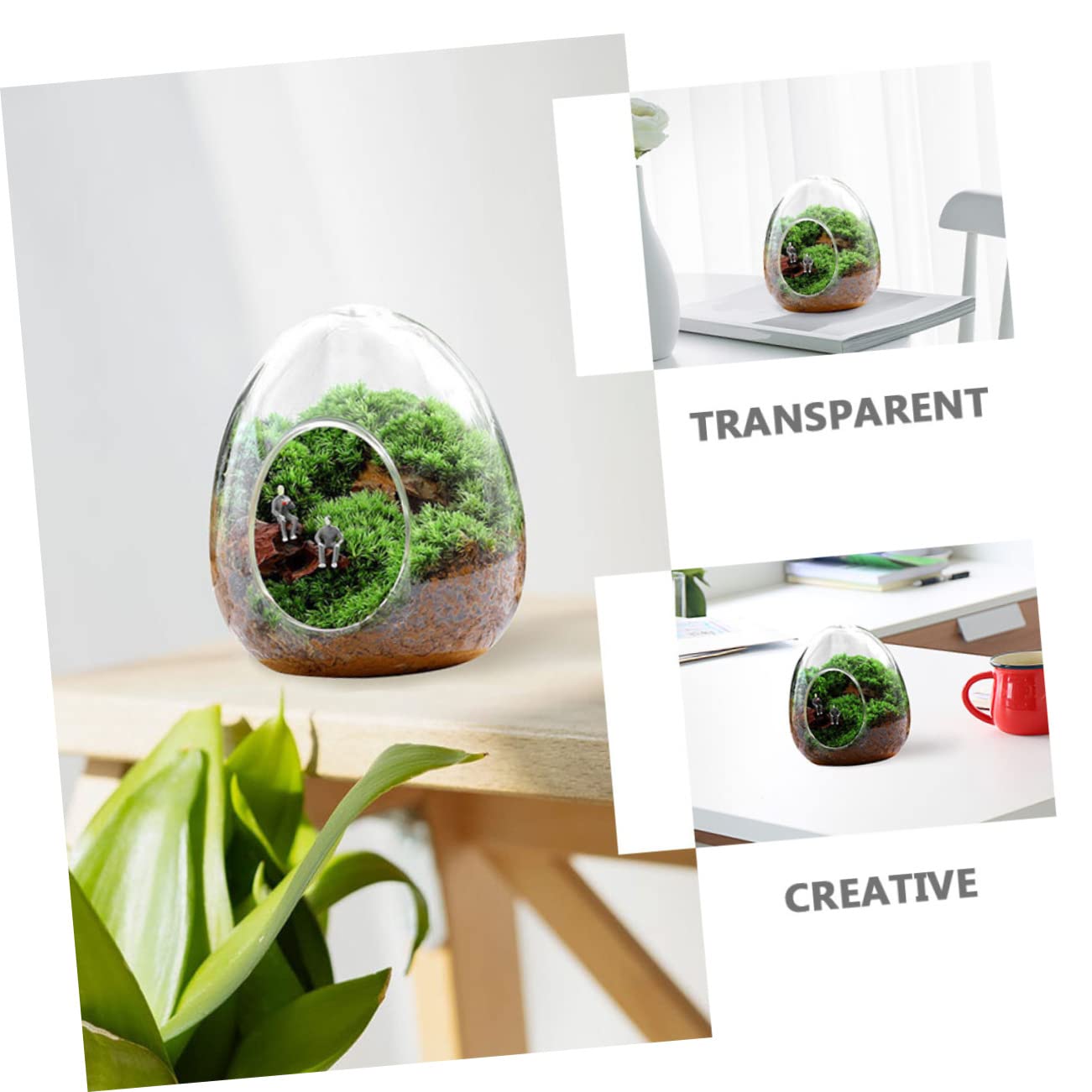 BESPORTBLE Glass Bottle Plant Moss Terrarium DIY Micro-Landscape Desktop Succulent Vase Home Decor