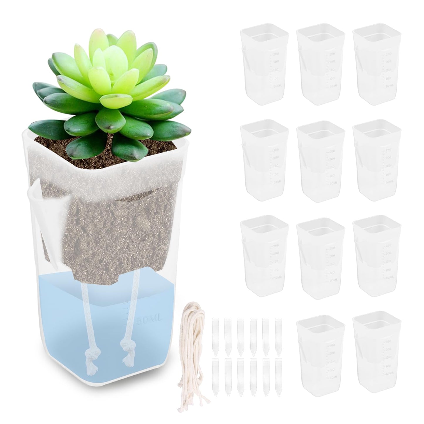Fizocosisto 12Pcs 2.5Inch Self Watering Pots for Indoor Plant Mini Clear Plastic Planter for Hoya African Violets Alocasia