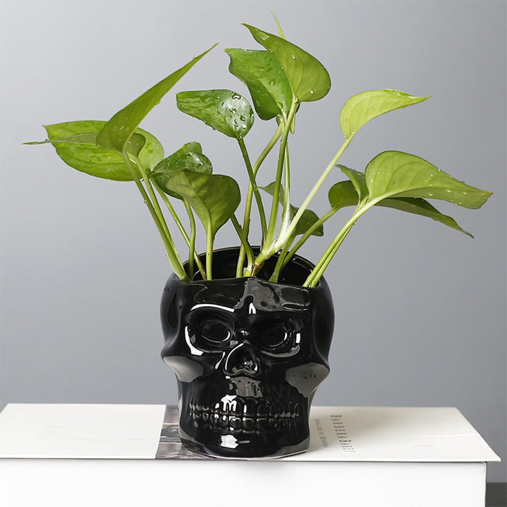 Vitbunana Skull-Shaped Toothbrush Holder, Skull Ceramic Small Storage Tube, Skull Pen Holder, Skull Succulent Flower Pot, Creative Decoration, Wall-Mounted Small Storage Tube (Black Skull)