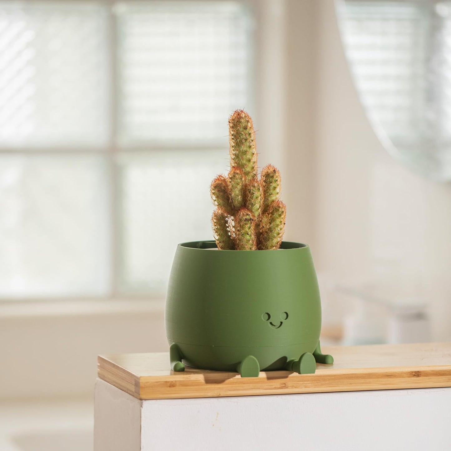 TOPOLA Happy Face Planter, 5.2 Inches Plastic Plant Pot, Self Watering Plant Pot with Drainage Holes for Indoor Outdoor, Succulent Pot, Funny Flower Pot, Dark Green