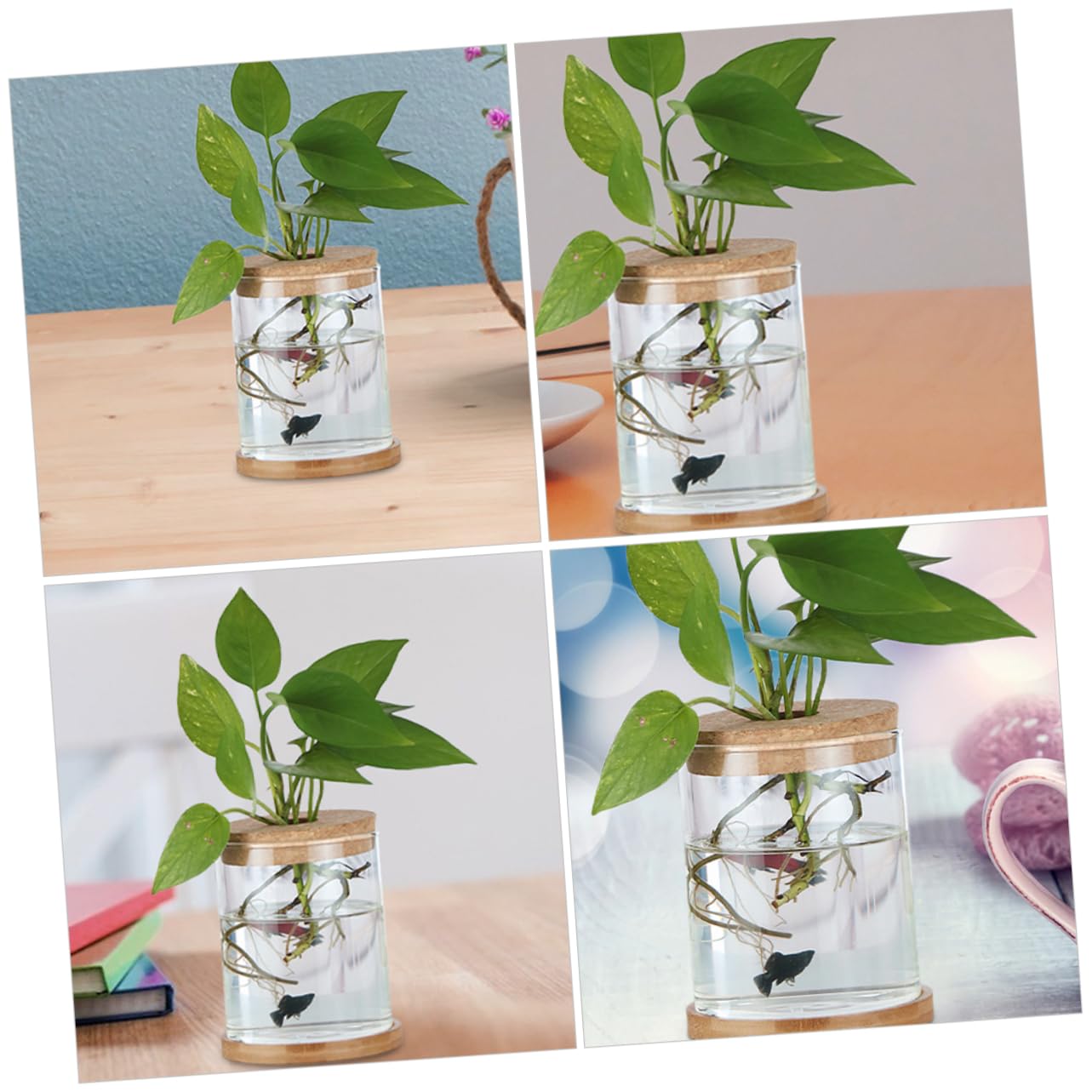 Cabilock 6Pcs Cork Lids for Hydroponic Vases Sustainable Transparent Glass Stoppers for Terrarium and Plant Propagation for Indoor Home Decor Elegant Micro Landscape Display