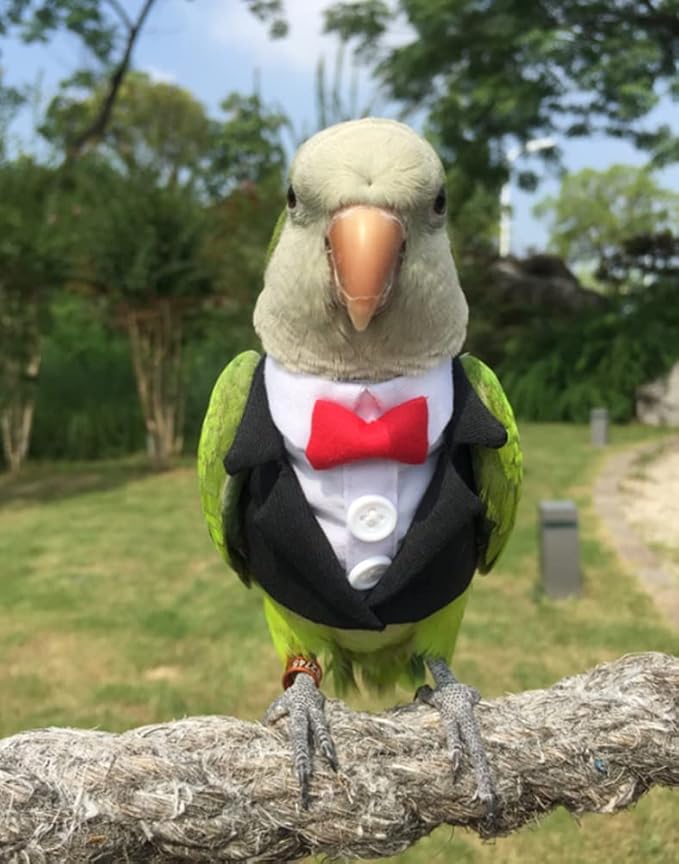 Bird Clothes Birds Flight Suit,Tuxedo Business Suit for Parrots African Greys Parakeet Cockatiel Sun Conure Christmas Party Birthday Cosplay Photo Prop Small Animals Apparel (L,Black Suit)