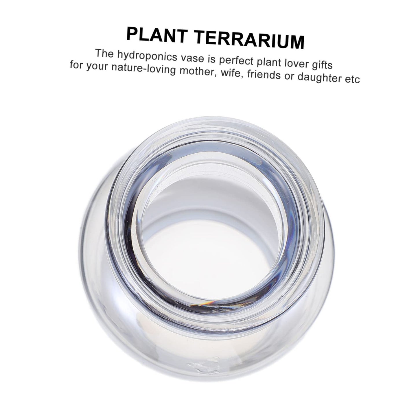 ABOOFAN Glass Vase for Hydroponics Plants Small Mouth Desktop Planter Terrarium for Home Decoration Smooth Transparent Floral Arrangement Container Gift Ready Decorative Propagation