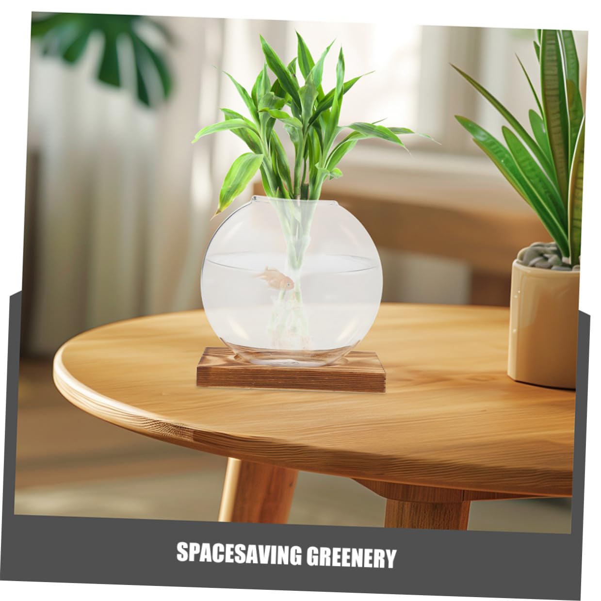 Cabilock 2pcs Glass Propagation Vases with Wooden Stand, Small Hydroponic Planter for Plants, Desktop Terrarium Container Suitable for Home and Office Décor