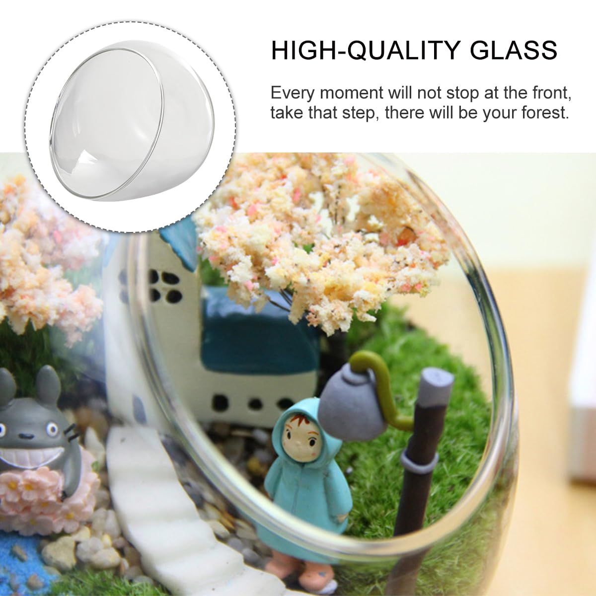 HOMSFOU Slant Cut Glass Terrarium Bowl 4.72 Inch Clear Micro Landscape Container for Succulent and Air Plants Home Office Wedding Decor