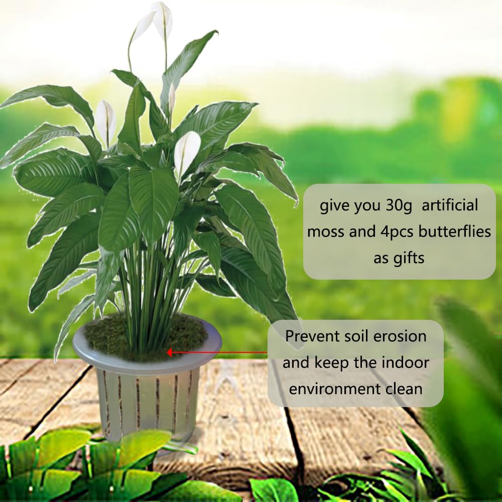 Adopirit Transparent Plastic Planter Garden Pots Orchid Breathable Slotted Clear Plastic Pot - Growers Assortment (10 pots - Two of Them are 4",5",6",7",7.5")