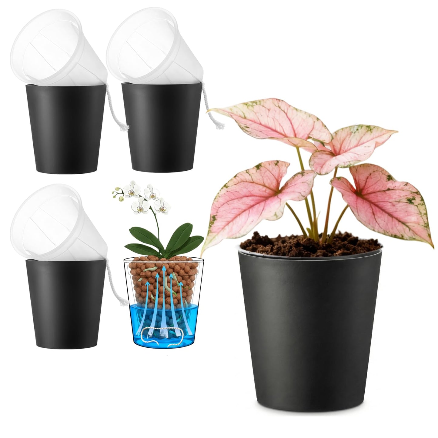 TineDew 3 Pack of 6in Plastic Cachepot with 6 inch Clear nusery Pot - self Watering Indoor Planter with Drainage for Root Visibility,semi Hydro pots for repotting Orchids,Aroid or Monstera,Black