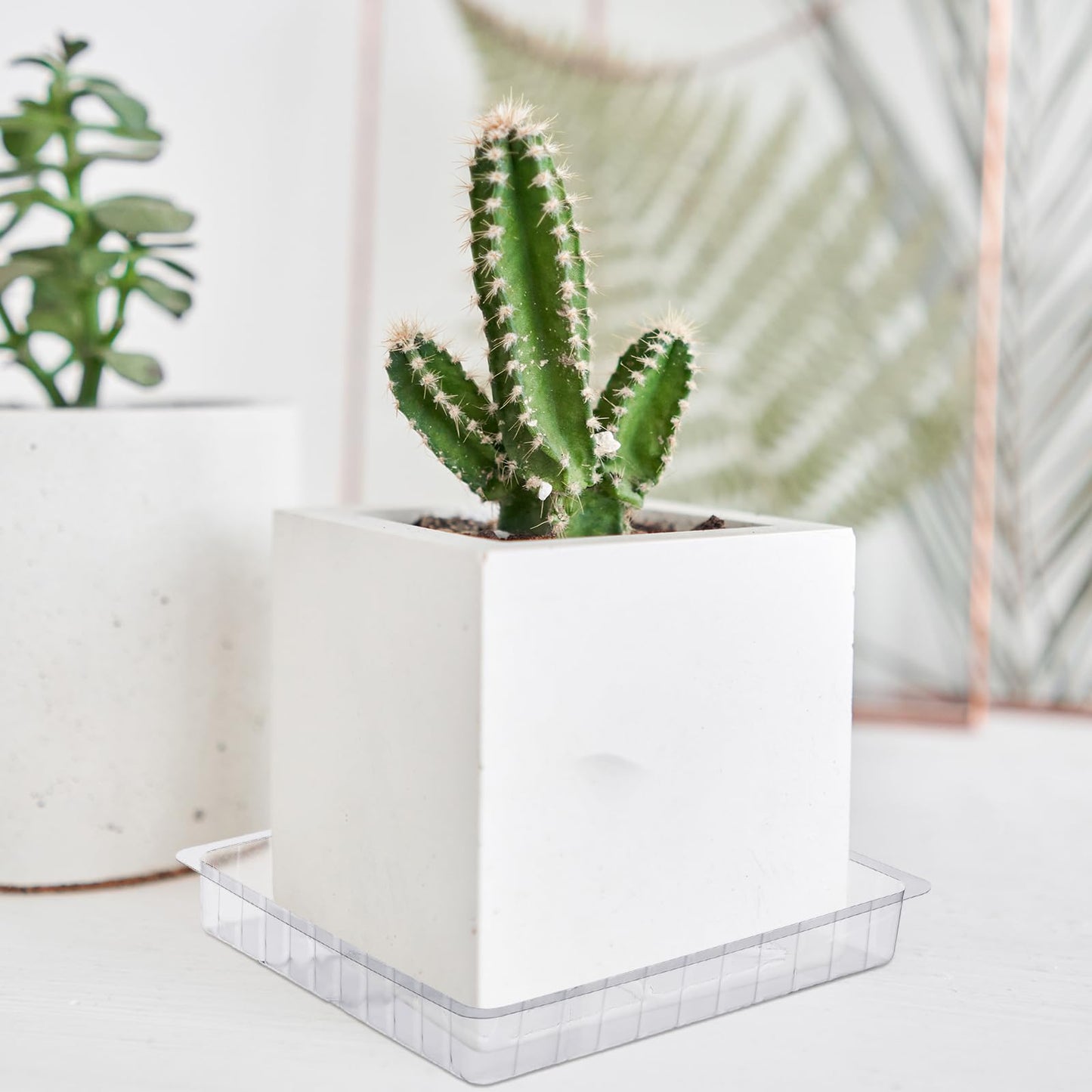 DoubleFill 21 Pieces Plastic Plant Tray Saucer Rectangular 6'' 8'' 10'' Clear Thick Sturdy Square Plant Saucer Drip Trays for Pots Window Sills and Window Shelf Indoor Outdoor Garden