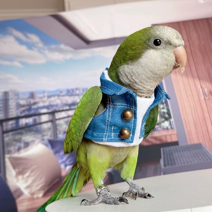 Bird Costume Bird Diaper Flight Suit Bird Jeans Fake Two Pieces Bird Clothes Cosplay Photo Prop for Parrots Lovebird Parakeet Cockatiel Small Animals Apparel (Without Diaper,Crested Myna)