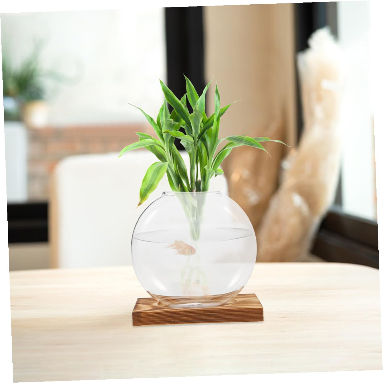HOOWIFFY 2pcs Glass Hydroponic Planter Vase with Wooden Stand, Indoor Plant Terrarium for Propagation and Home Office Decor