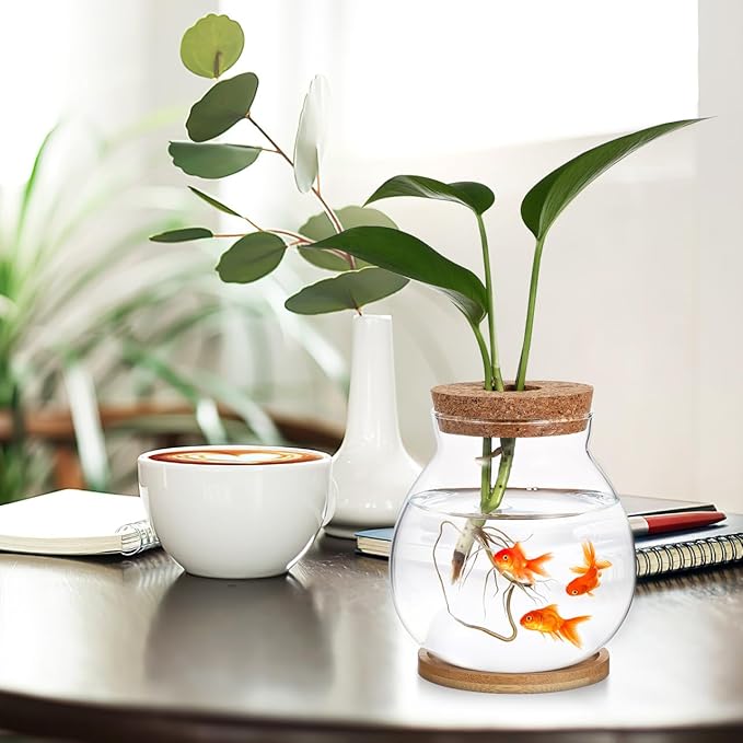 Desktop Hydroponic Fish Bowl Glass Terrarium for Betta Fish with Bamboo Base Small Aquarium for Home Office Decoration