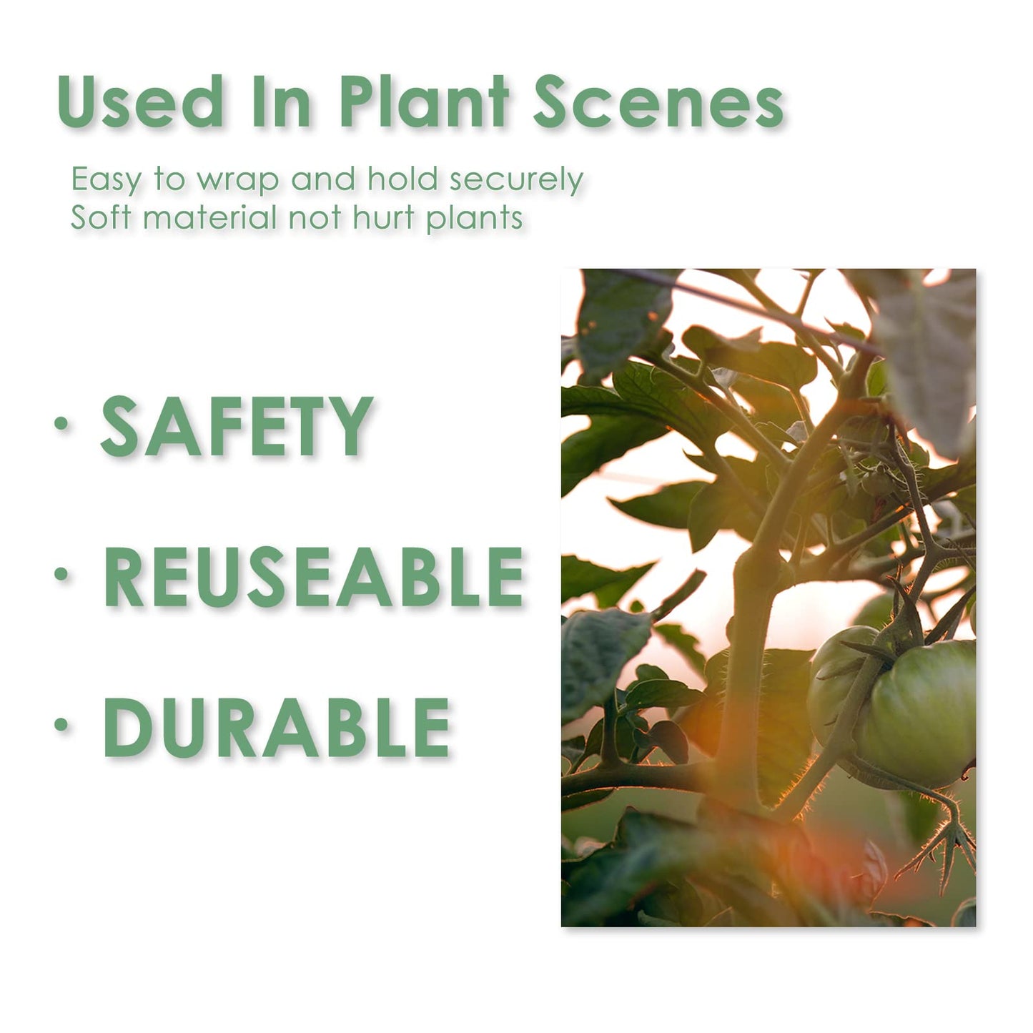 plantactic Garden Tie Green Tape, Plant Supports, Gentle On Plants (32.8ft × 0.6 inch, 2 Rolls, Green)