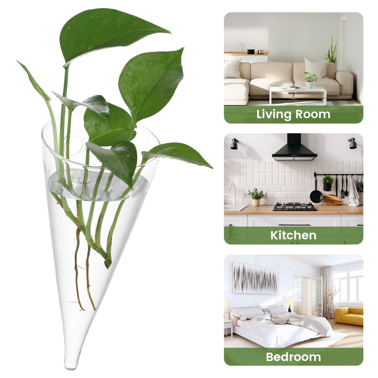 Cabilock Wall Planter Propagation Stations, Clear Glass Wall Hanging Plant Terrarium, Circular Cone Propagation Vase for Hydroponic Plants Flowers, Bathroom Home Office Living Room Decor