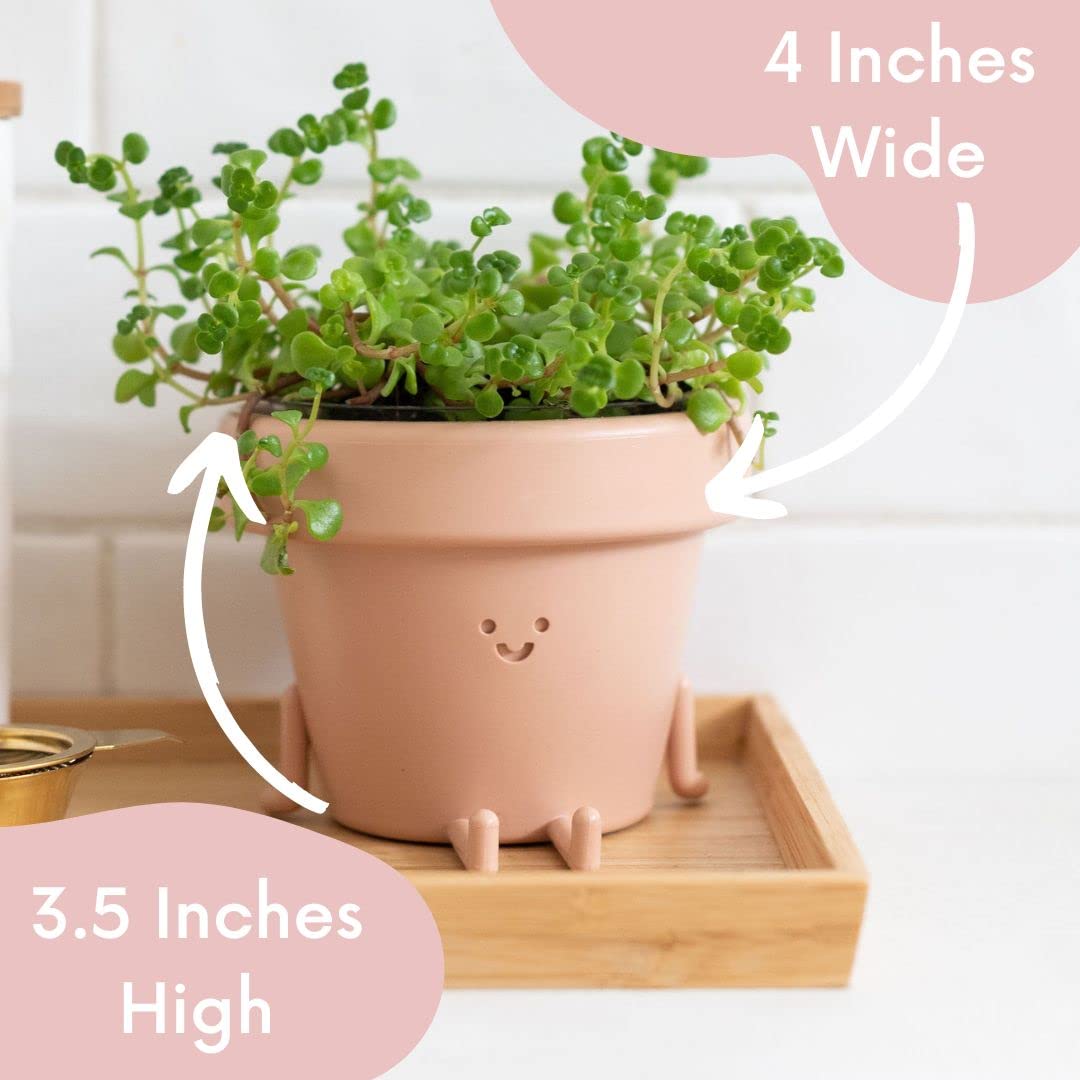 Cute Indoor Plant Pots Set of 3, Unique Plastic Succulent Pots for Plant Lovers (Plants NOT Included)