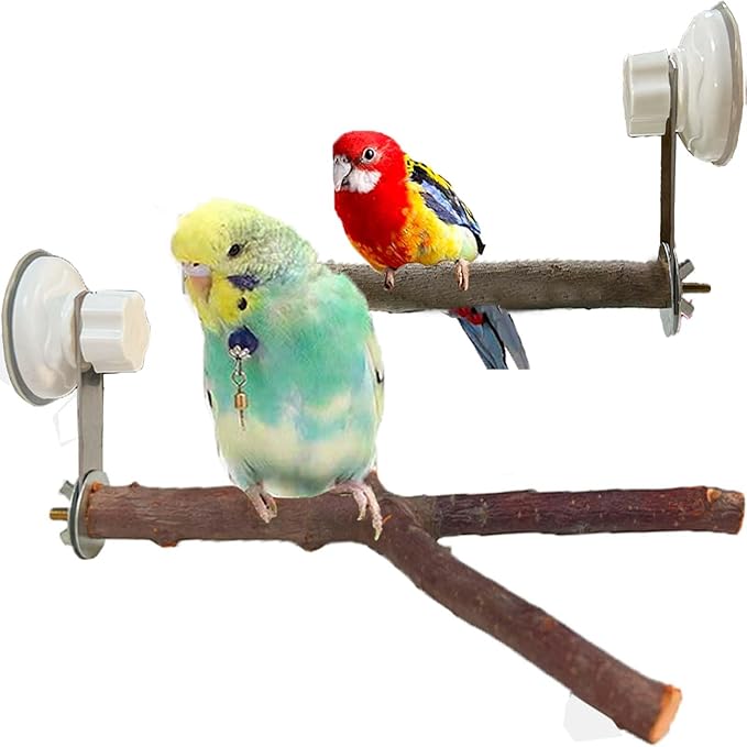 Natural Bird Perch Stand with Suction Cup for Window Mirror Car Shower Travel Bath for Small Medium Large Parrot Parakeet Cockatiel Concure Budgie Macaw Finch Y Shap Indoor Outdoor Outside Wild Birds