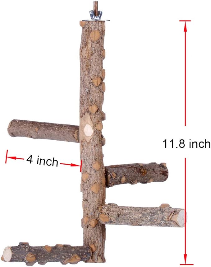 Bird Perch Nature Wood Stand for 3-4pcs Small Medium Parrots (S)