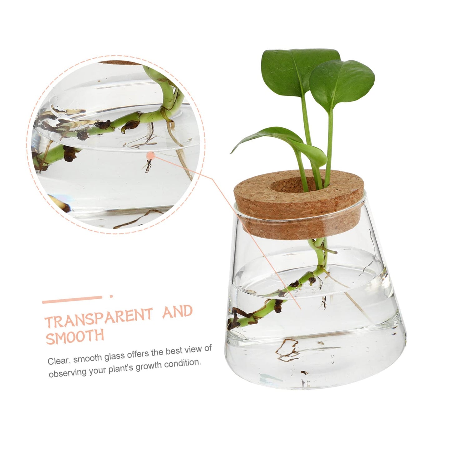 VALICLUD 2Pcs Glass Hydroponic Planter Vases Elegant Desktop Terrarium for Home Decoration Floral Arrangements for Indoor Plants and