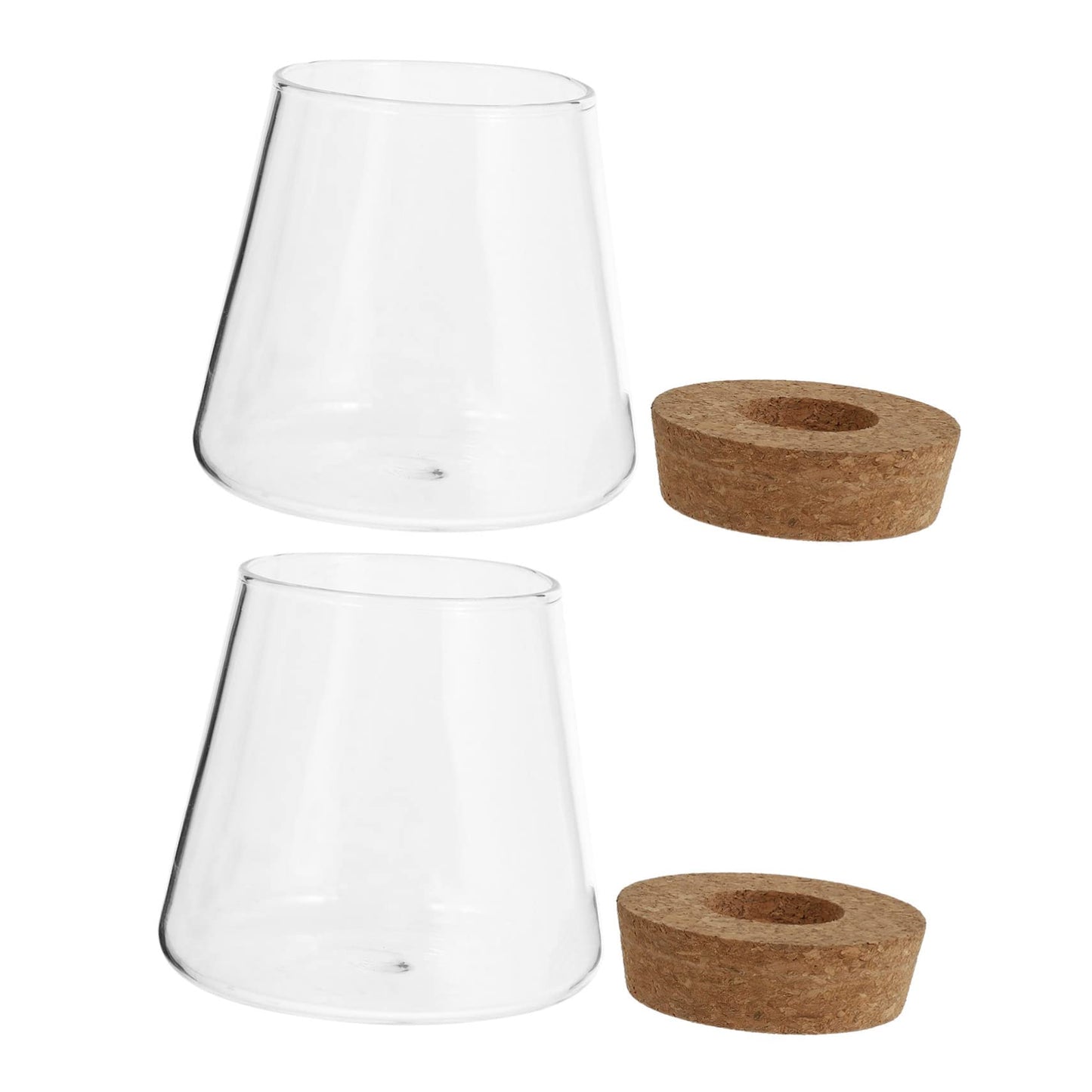 EPIGEIST 2Pcs Hydroponics Vase Planter Chic Desktop Glass Terrarium for Home Office Decor Plant Holder for Observation Growth Design