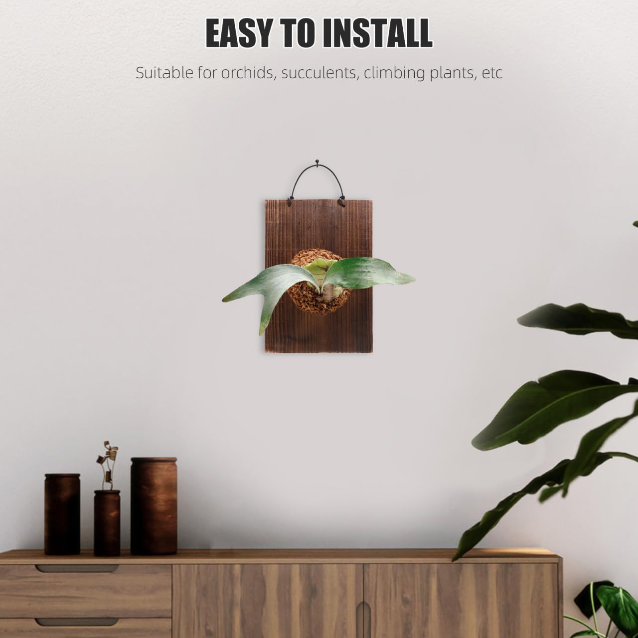 ORFOFE Fern Hanging Plaque 9.76X6.77X0.70In Solid Wood Rustic Sign Decor for Indoor Succulents Climbing Plants Vertical Plant Mounting Board