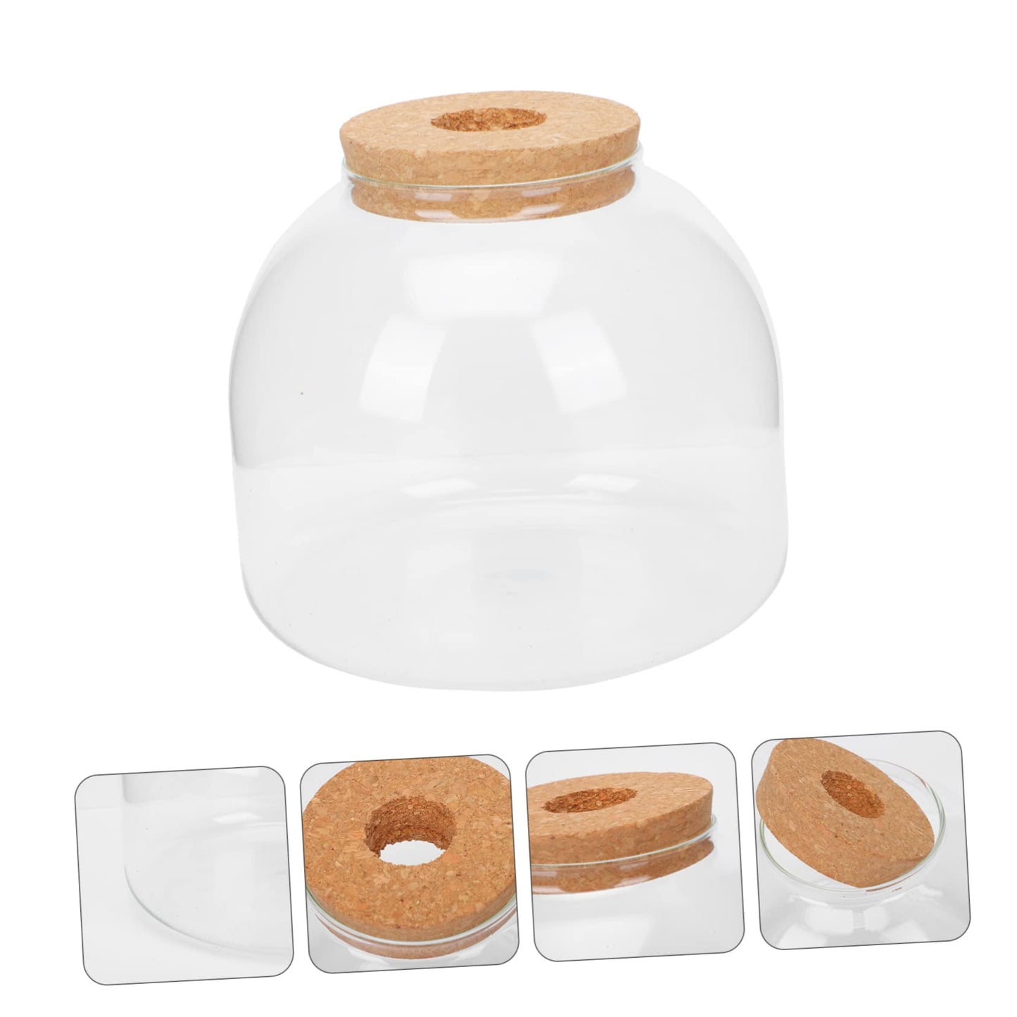 VANZACK 1set Glass Terrarium Container for Microlandscape Decor Transparent Bottle for Indoor and Outdoor Creative Plant Displays for Use