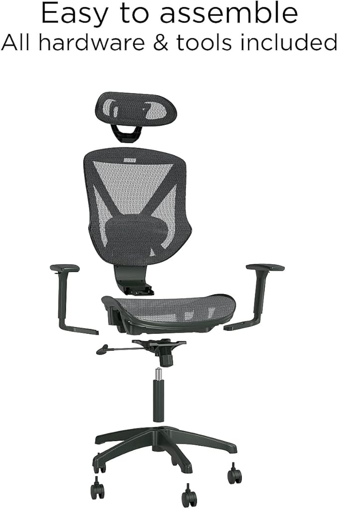 Staples Dexley Ergonomic Task Chair, Lumbar Support, Adjustable Height