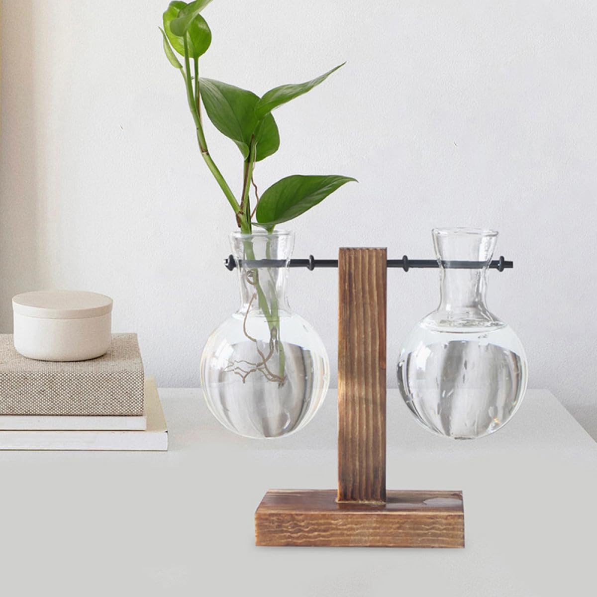VALICLUD 3Pcs High Borosilicate Glass Flower Vases with Holes and Wooden Stand, Hydroponic Plant Propagation Jars for Indoor Terrarium and Floral Arrangement