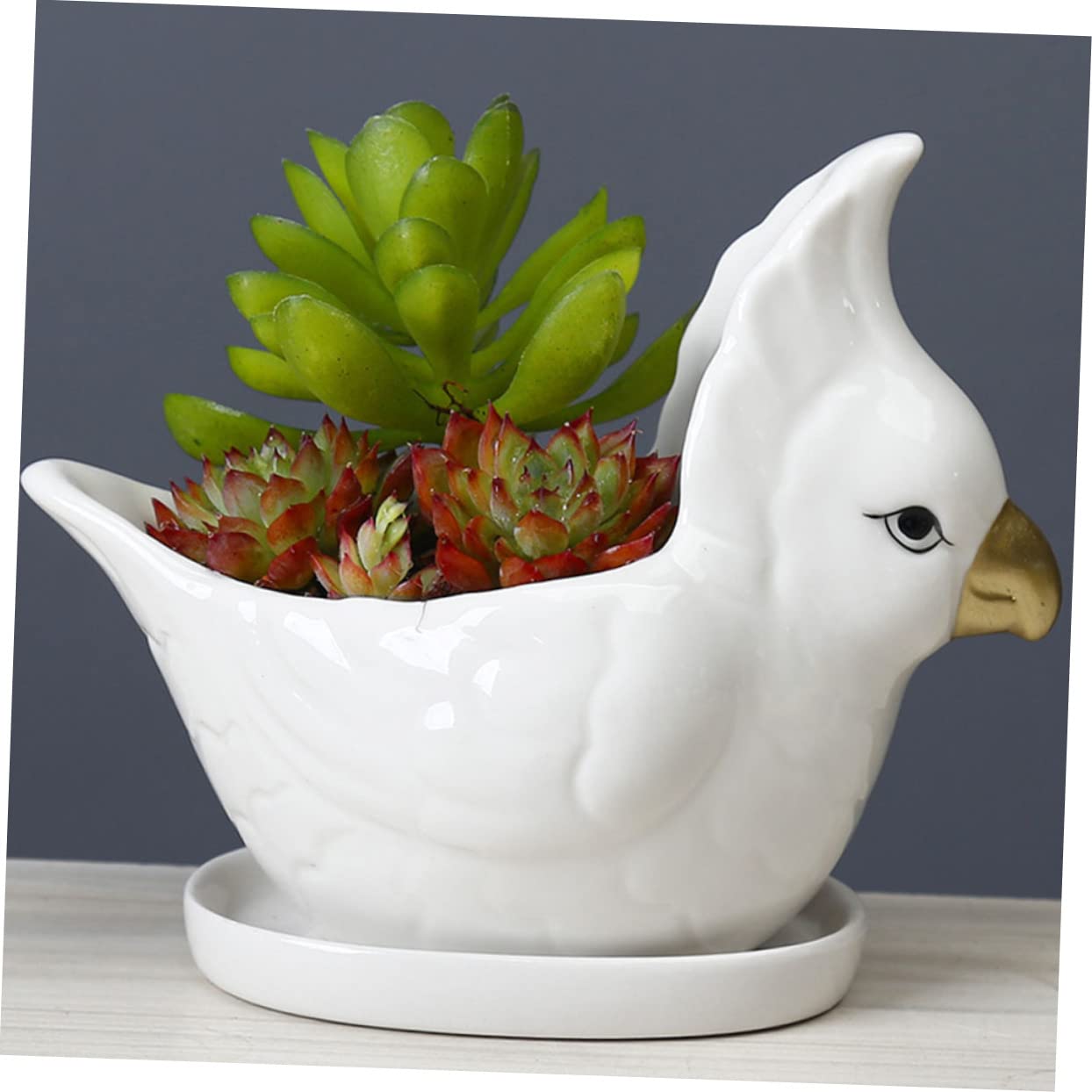 BESPORTBLE Ceramic Flower Planter with Tray Cartoon Parrot Design Indoor Succulent Pot Bonsai Container Gift and Home Decor