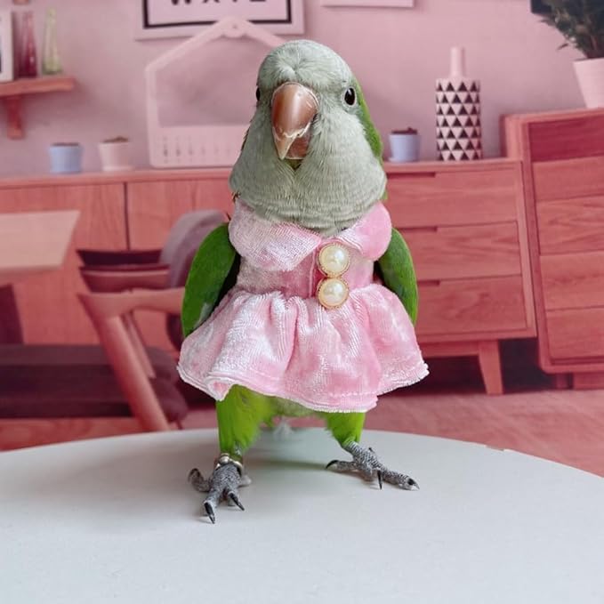 Bird Costume Bird Diaper Flight Suit Parrot Velvet Fleece Skirt Clothes Cosplay Photo Prop for Conure Lovebird Parakeet Cockatiel Macaw Small Animals Apparel (Pink,Medium)